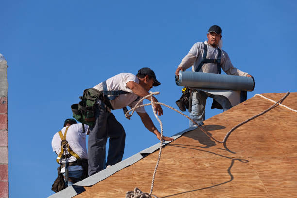 Best New Roof Installation  in Medford, WI